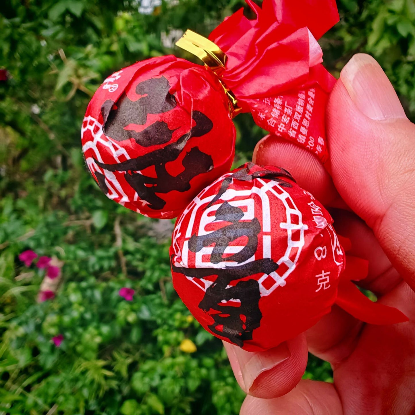 Yunnan "Dragon Pearl" Pu'er Tea Collection - 9-Variety Sampler - The Ultimate Tea Exploration Experience