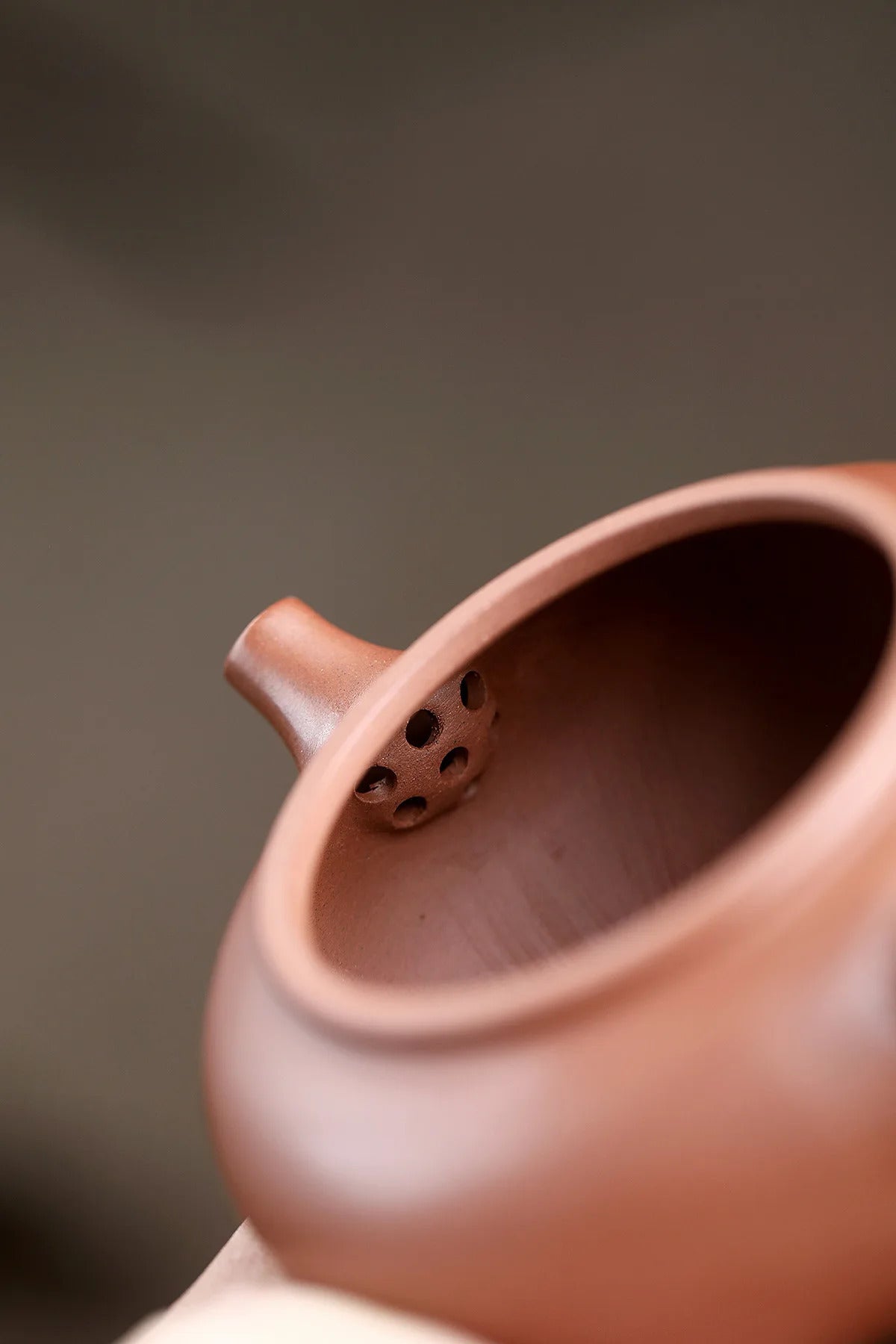 SteepCode Yixing "Breathing Teapot" – 140ml Zhu Ni Clay Masterpiece, Artisan Teapot, Zisha Teapot