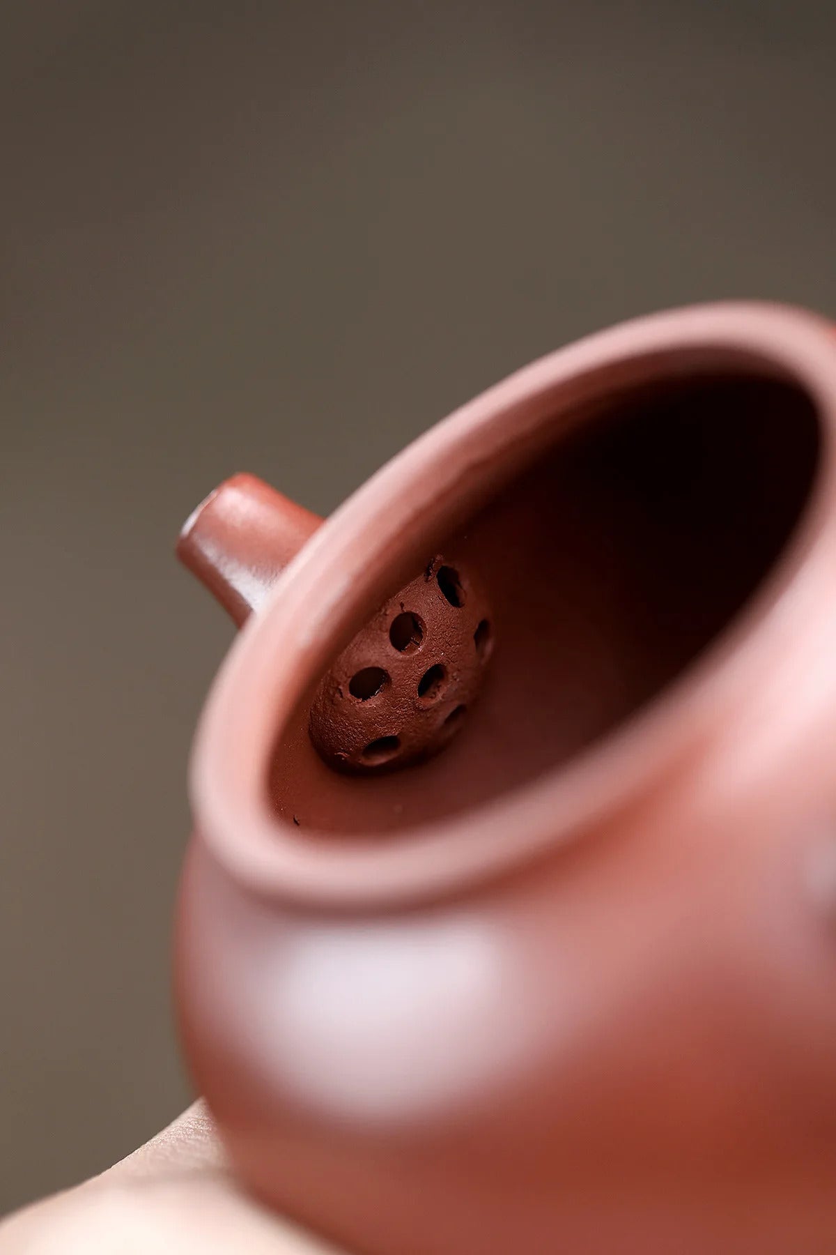 Yixing "Breathing Teapot" – 160ml Zhu Ni Clay Masterpiece, Artisan Teapot, Zisha Teapot