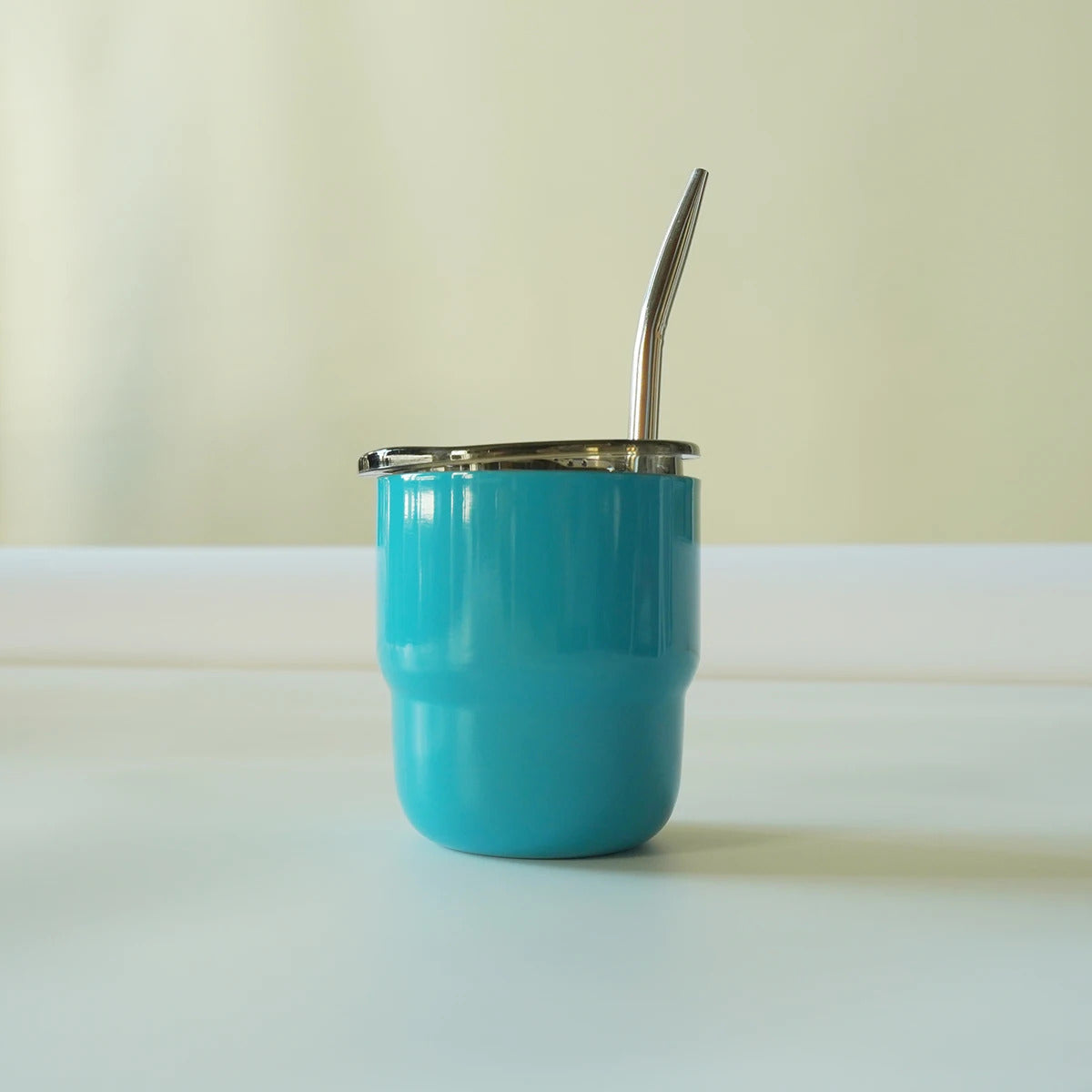 304 Stainless Steel Double-Wall Vacuum Insulated Cup, Coffee Mug, Yerba Mate Cup with Straw, 255ml