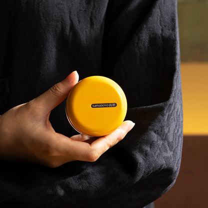 SAMADOYO-316 Stainless Steel Teapot, Insulated Tea & Coffee Brewer with Built-in Filter, 600ml