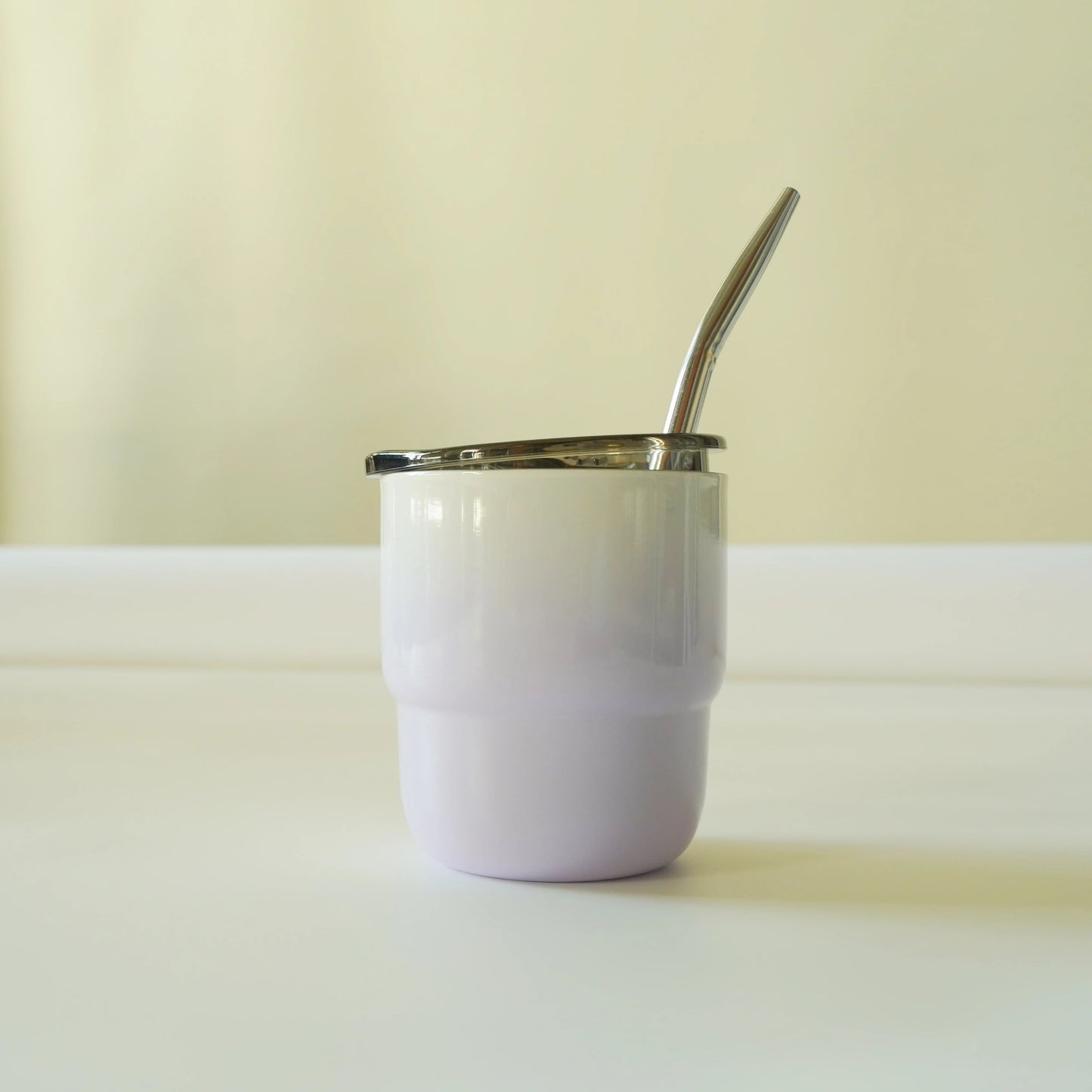 304 Stainless Steel Double-Wall Vacuum Insulated Cup, Coffee Mug, Yerba Mate Cup with Straw, 255ml