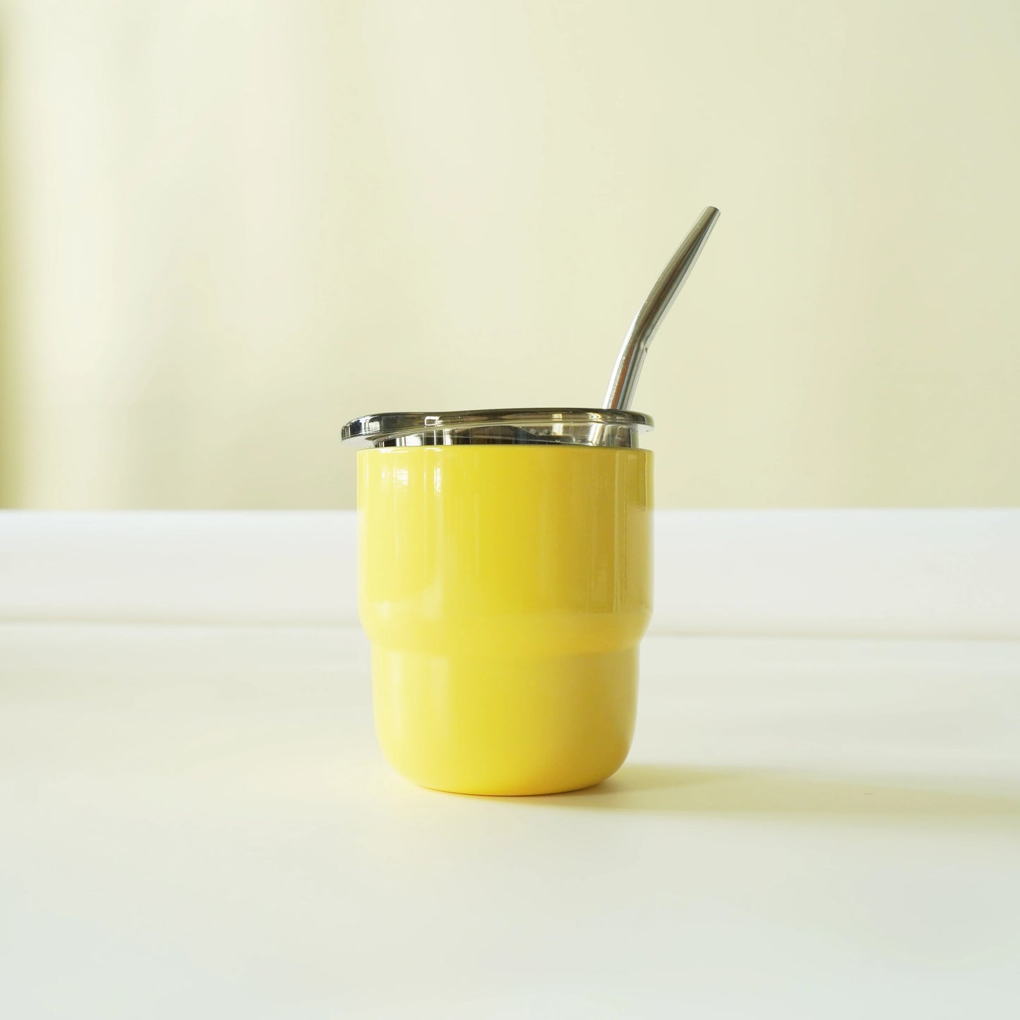 304 Stainless Steel Double-Wall Vacuum Insulated Cup, Coffee Mug, Yerba Mate Cup with Straw, 255ml