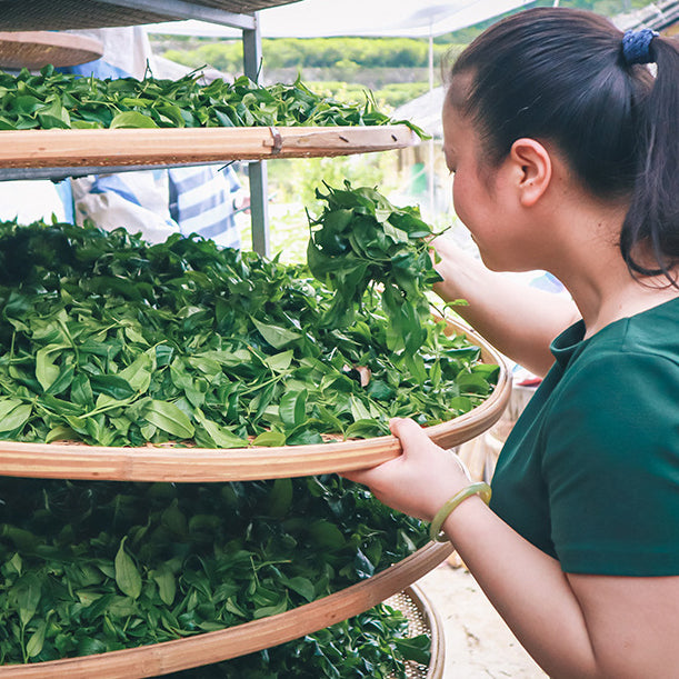 Phoenix Mountain Oolong Tea Daily-Consumption Grade - Phoenix Dancong Oolong Tea 250g