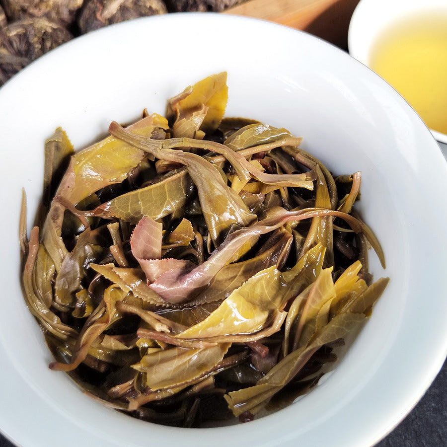 Yunnan "Dragon Pearl" Pu'er Tea Collection - 9-Variety Sampler - The Ultimate Tea Exploration Experience