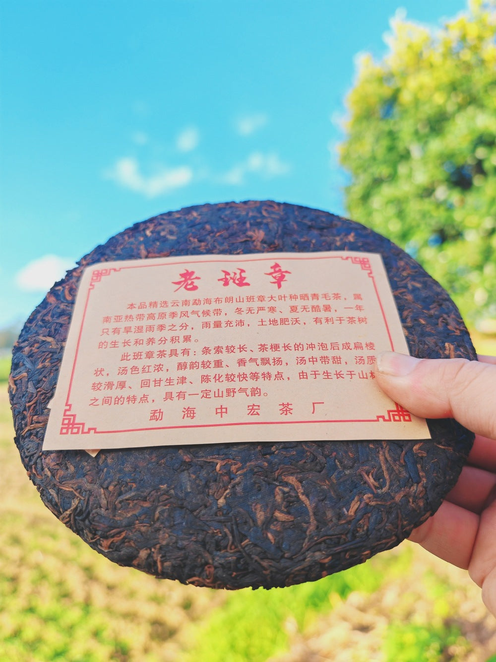 Premium Lao Ban Zhang Ripe Pu'er Tea - 357g Cake