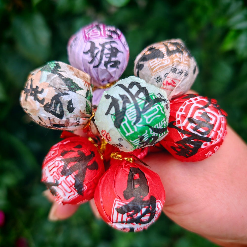 Yunnan "Dragon Pearl" Pu'er Tea Collection - 9-Variety Sampler - The Ultimate Tea Exploration Experience