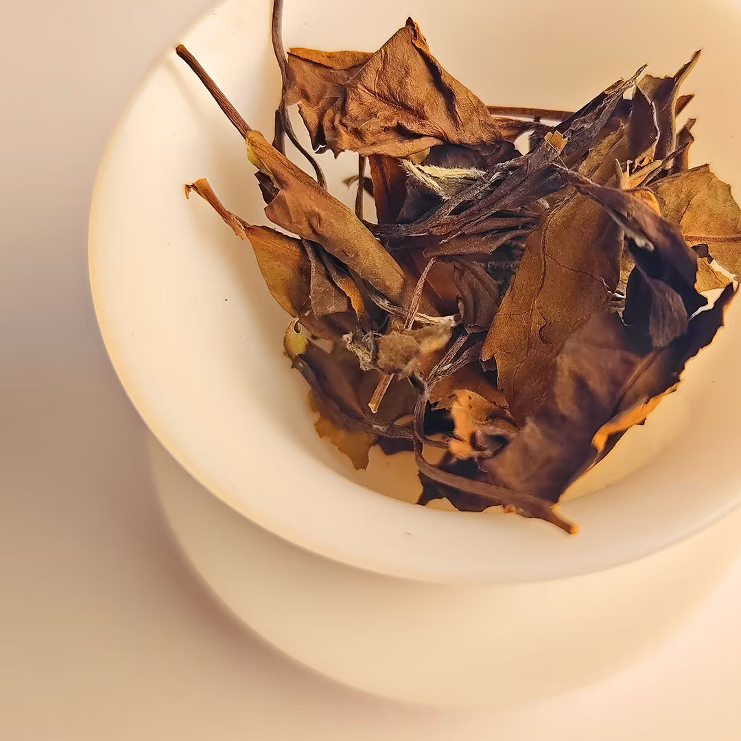 2011-2013 Wild Arbor Aged Tea - Fuding Kung-Mee White Tea 500g Loose Leaf ﻿