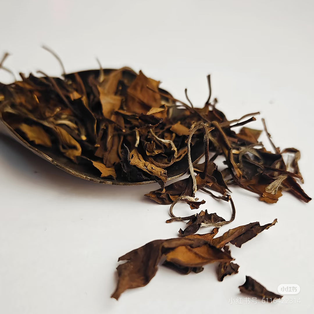 2011-2013 Wild Arbor Aged Tea - Fuding Kung-Mee White Tea 500g Loose Leaf ﻿