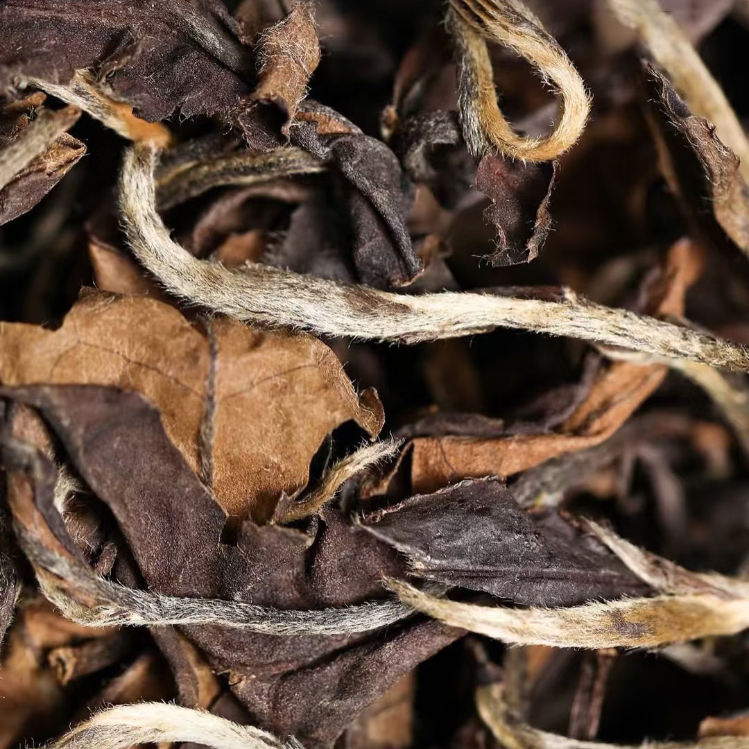 2011-2013 Wild Arbor Aged Tea - Fuding Kung-Mee White Tea 500g Loose Leaf ﻿