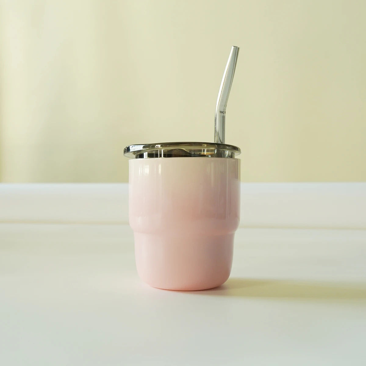 304 Stainless Steel Double-Wall Vacuum Insulated Cup, Coffee Mug, Yerba Mate Cup with Straw, 255ml