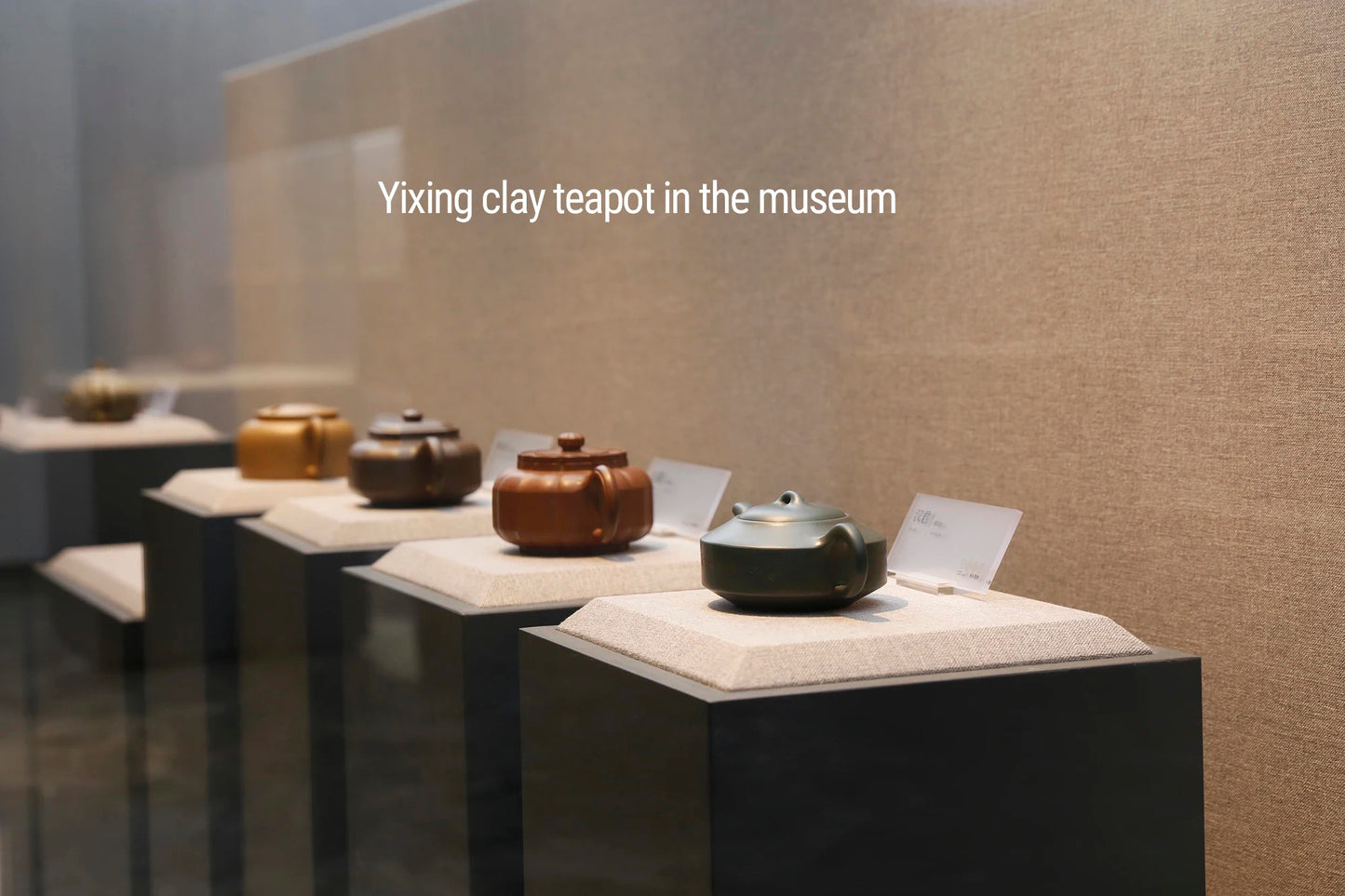 SteepCode Yixing "Breathing Teapot" – 160ml Zhu Ni Clay Masterpiece, Artisan Teapot, Zisha Teapot